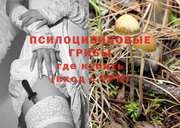 дмт Нижний Тагил
